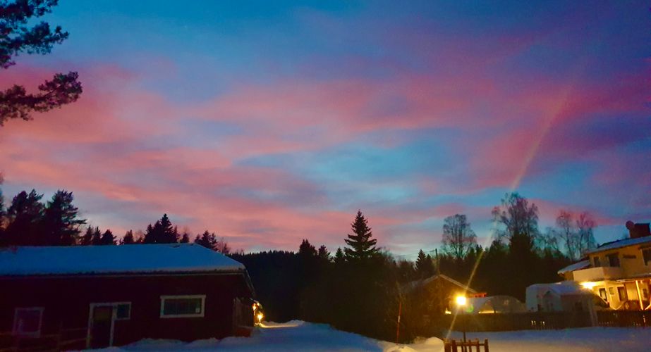 Zweden Nieuw 39 Zweden Nieuw 39